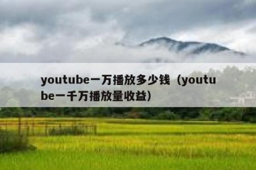 youtube一万播放多少钱（youtube一千万播放量收益）