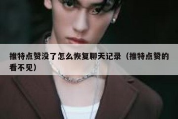 推特点赞没了怎么恢复聊天记录（推特点赞的看不见）