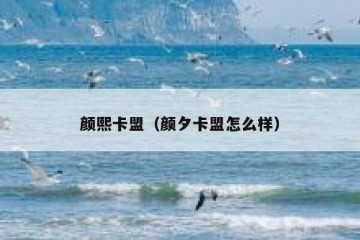 颜熙卡盟（颜夕卡盟怎么样）