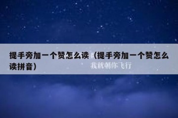 提手旁加一个赞怎么读（提手旁加一个赞怎么读拼音）