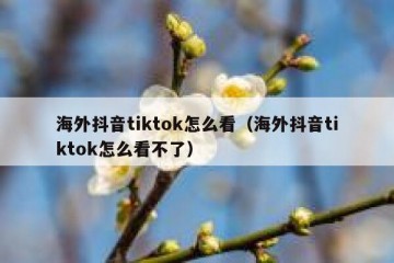 海外抖音tiktok怎么看（海外抖音tiktok怎么看不了）
