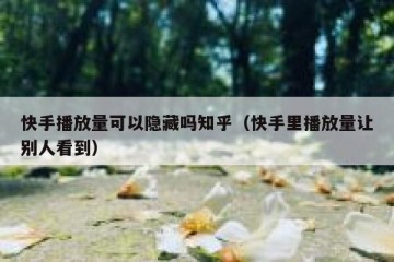 快手播放量可以隐藏吗知乎（快手里播放量让别人看到）