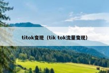 titok变现（tik tok流量变现）