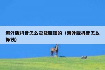 海外版抖音怎么卖货赚钱的（海外版抖音怎么挣钱）