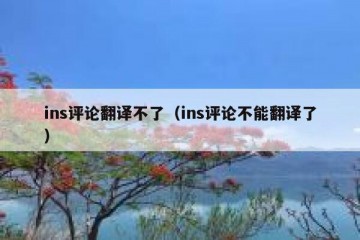 ins评论翻译不了（ins评论不能翻译了）