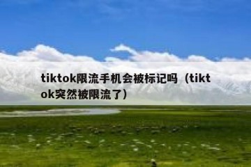 tiktok限流手机会被标记吗（tiktok突然被限流了）