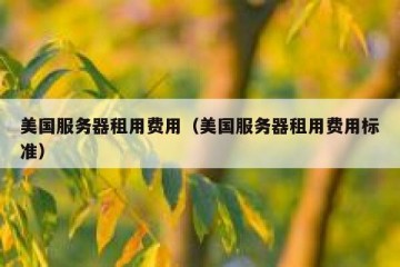 美国服务器租用费用（美国服务器租用费用标准）