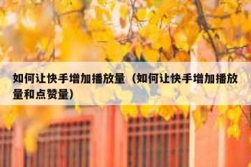 如何让快手增加播放量（如何让快手增加播放量和点赞量）