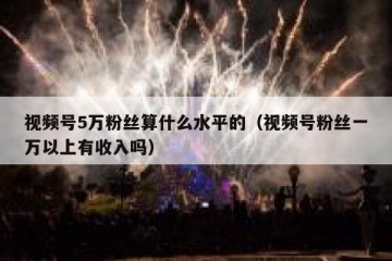 视频号5万粉丝算什么水平的（视频号粉丝一万以上有收入吗）