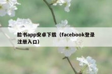 脸书app安卓下载（facebook登录注册入口）