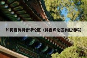 如何看待抖音评论区（抖音评论区有脏话吗）