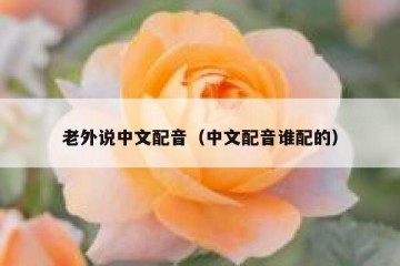 老外说中文配音（中文配音谁配的）