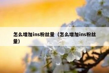怎么增加ins粉丝量（怎么增加ins粉丝量）
