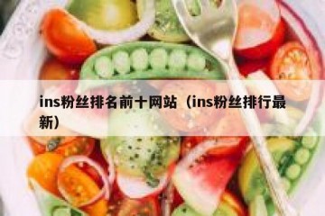 ins粉丝排名前十网站（ins粉丝排行最新）