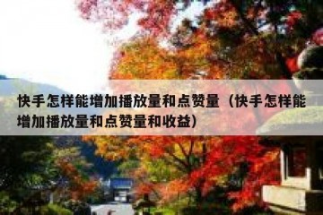 快手怎样能增加播放量和点赞量（快手怎样能增加播放量和点赞量和收益）