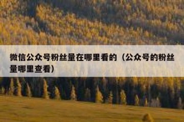 微信公众号粉丝量在哪里看的（公众号的粉丝量哪里查看）