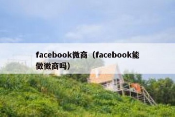 facebook微商（facebook能做微商吗）