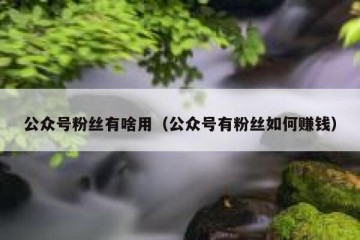 公众号粉丝有啥用（公众号有粉丝如何赚钱）