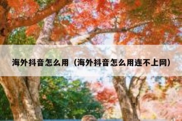 海外抖音怎么用（海外抖音怎么用连不上网）