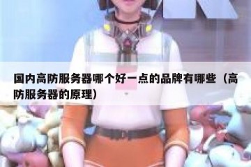 国内高防服务器哪个好一点的品牌有哪些（高防服务器的原理）