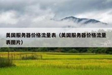 美国服务器价格流量表（美国服务器价格流量表图片）