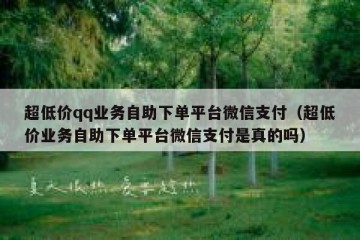 超低价qq业务自助下单平台微信支付（超低价业务自助下单平台微信支付是真的吗）