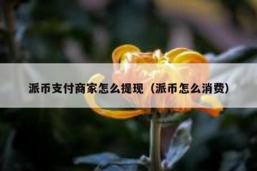 派币支付商家怎么提现（派币怎么消费）