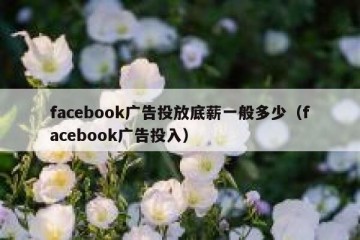 facebook广告投放底薪一般多少（facebook广告投入）