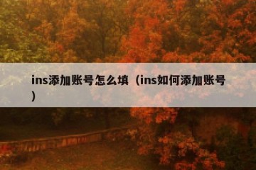 ins添加账号怎么填（ins如何添加账号）