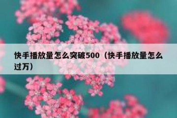 快手播放量怎么突破500（快手播放量怎么过万）