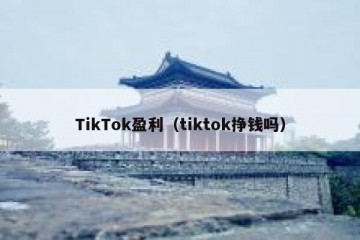 TikTok盈利（tiktok挣钱吗）