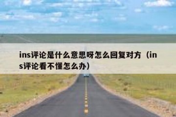 ins评论是什么意思呀怎么回复对方（ins评论看不懂怎么办）