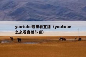 youtube哪里看直播（youtube怎么看直播节目）