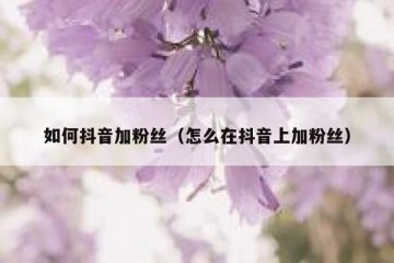如何抖音加粉丝（怎么在抖音上加粉丝）