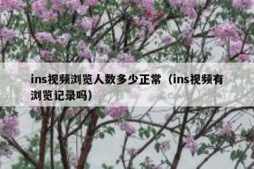 ins视频浏览人数多少正常（ins视频有浏览记录吗）