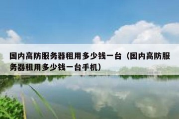 国内高防服务器租用多少钱一台（国内高防服务器租用多少钱一台手机）