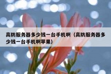 高防服务器多少钱一台手机啊（高防服务器多少钱一台手机啊苹果）