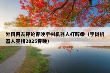 外国网友评论春晚宇树机器人打醉拳（宇树机器人亮相2025春晚）