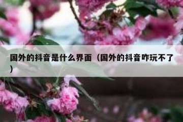 国外的抖音是什么界面（国外的抖音咋玩不了）