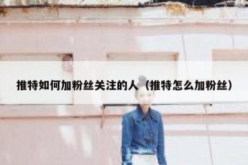 推特如何加粉丝关注的人（推特怎么加粉丝）