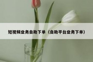 短视频业务自助下单（自助平台业务下单）
