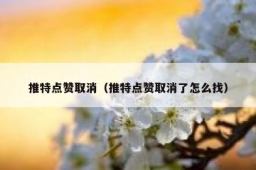 推特点赞取消（推特点赞取消了怎么找）