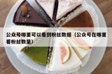公众号哪里可以看到粉丝数据（公众号在哪里看粉丝数量）