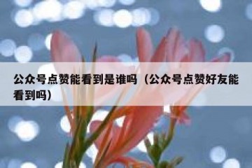 公众号点赞能看到是谁吗（公众号点赞好友能看到吗）