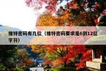 推特密码有几位（推特密码要求是6到12位字符）