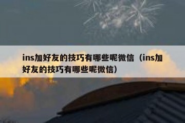 ins加好友的技巧有哪些呢微信（ins加好友的技巧有哪些呢微信）
