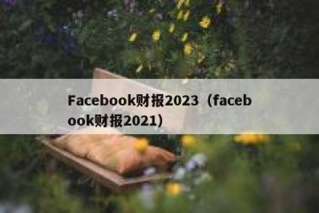 Facebook财报2023（facebook财报2021）