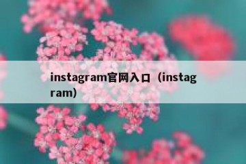instagram官网入口（instagram）