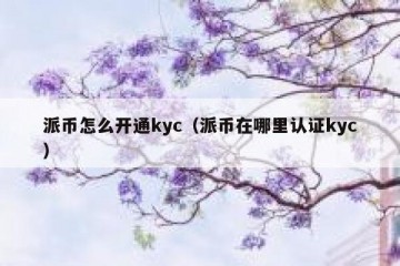 派币怎么开通kyc（派币在哪里认证kyc）