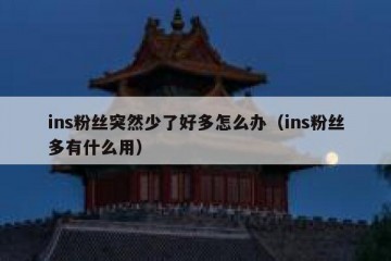 ins粉丝突然少了好多怎么办（ins粉丝多有什么用）